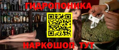 гидропоника Будённовск
