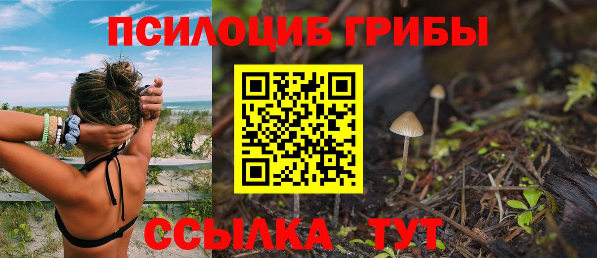 Похвистнево  Галлюциногенные грибы GOLDEN TEACHER  Псилоцибиновые грибы мухоморы  Вход с VPN 