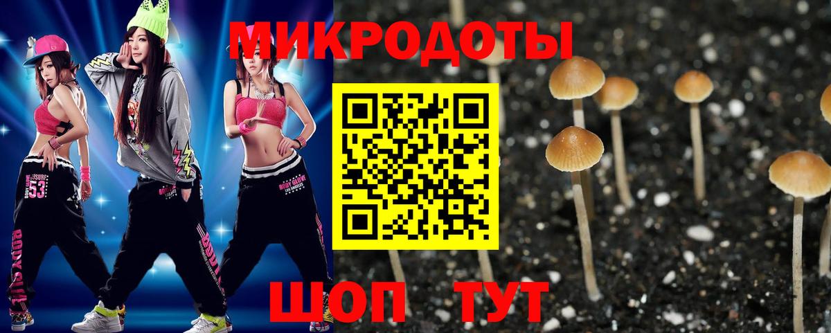 Псилоцибиновые грибы GOLDEN TEACHER Похвистнево